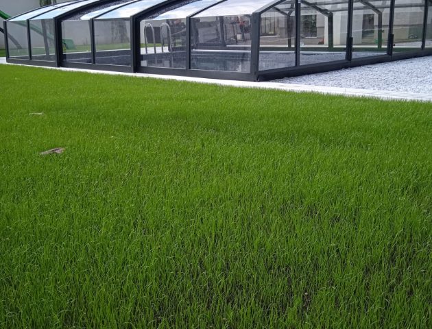 Aluna® Admiral II